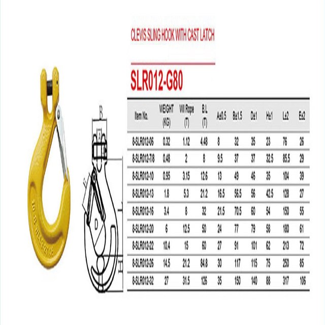 Clevis Sling Hooks With Latch For Hoist SLR012-G80