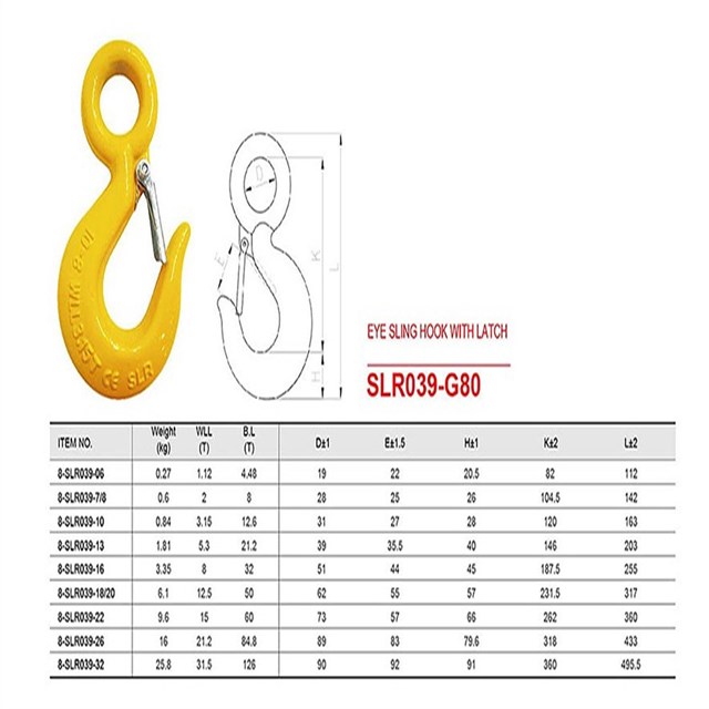SLR039-G80 Type Eye Sling Hook With Latch
