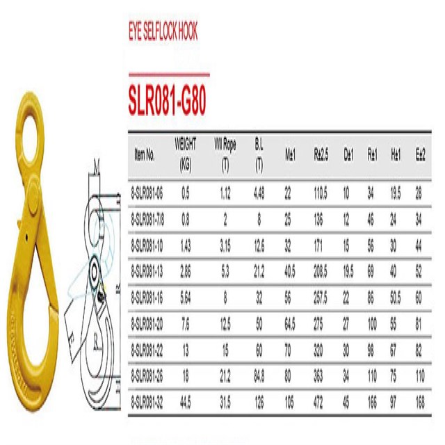 Safety Assembly Eye Self Locking Hook