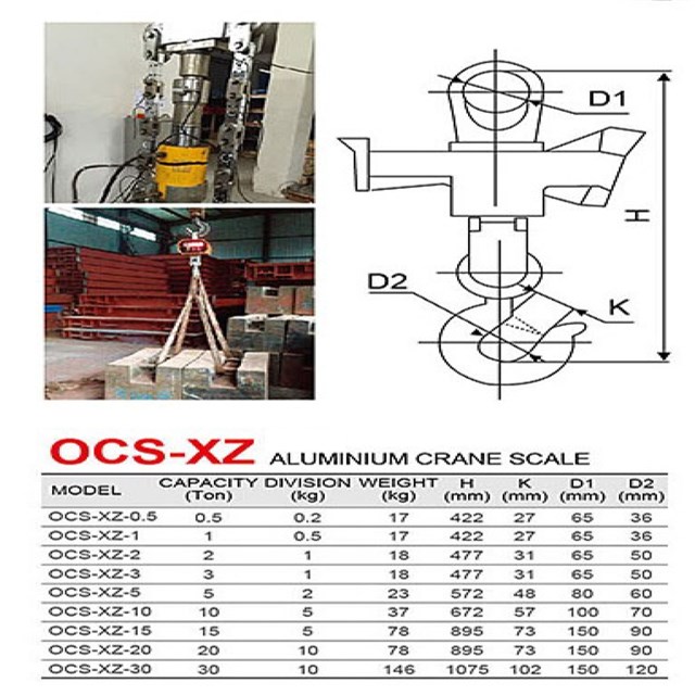 Durable Electronic Crane Weight Scale 20T With Large Steel Hook